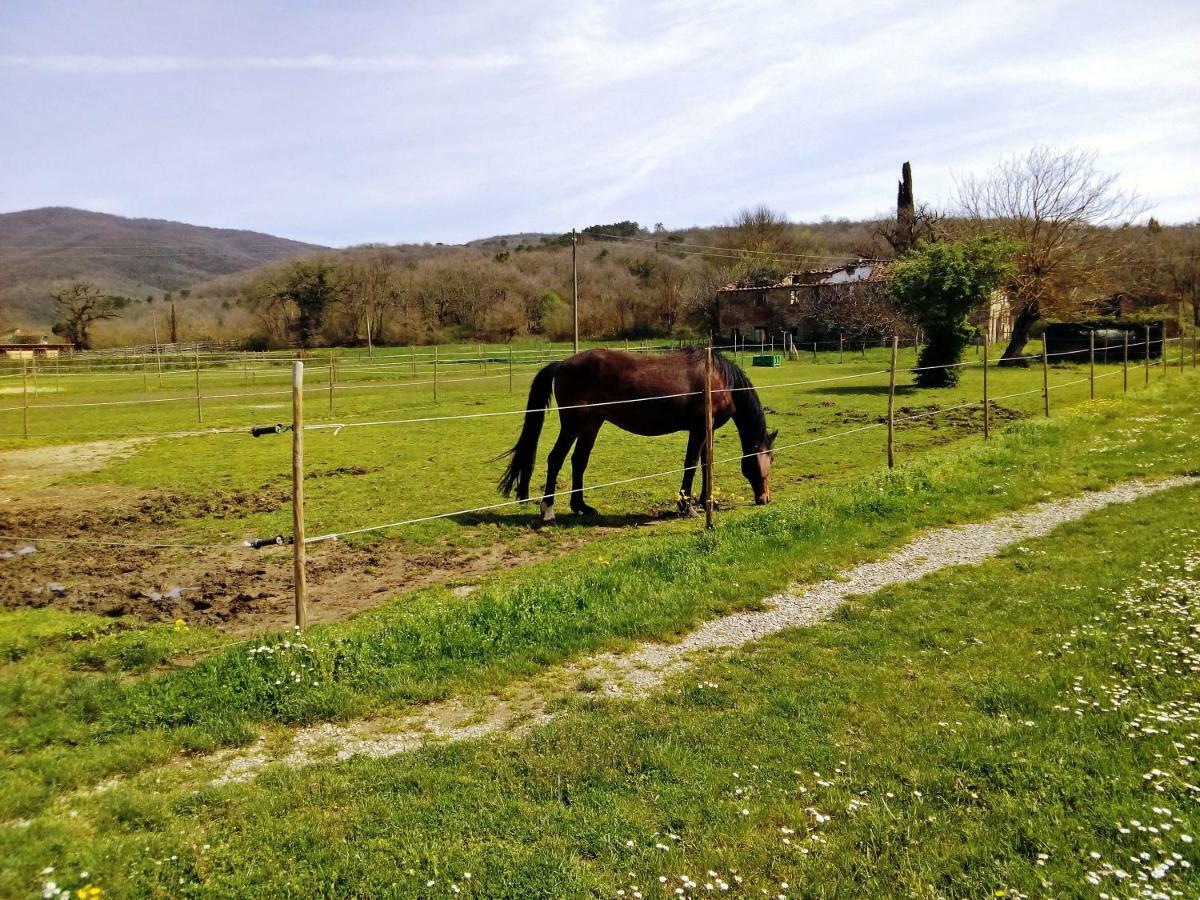 Antica Dimora Figli Di Bocco Apartment Castiglion Fibocchi Exterior foto